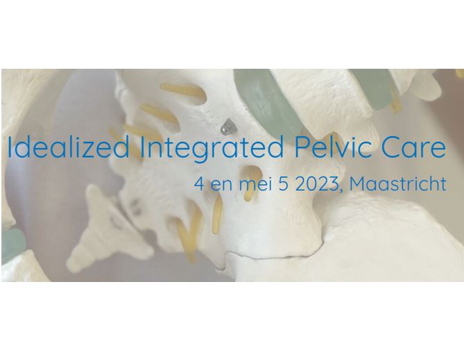 Idealized Integrated Pelvic Care